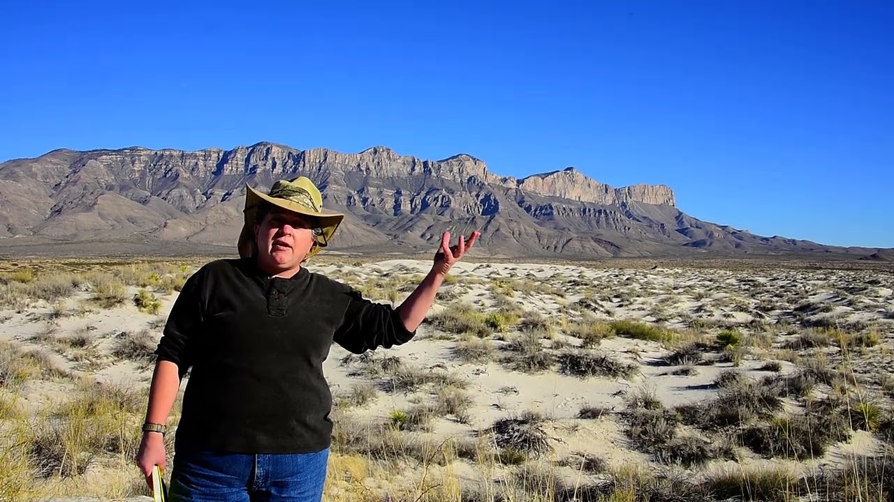 Texas-- Salt Basin Dunes