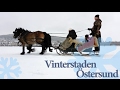 Vinterstaden Östersund - invigning av Vinterparken [HD]