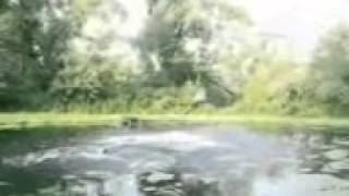 Fails compilation 2000 - 2008