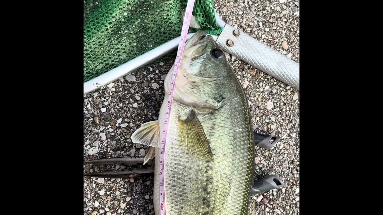 My Dads new biggest PB (Waterstone Lake Fishers)