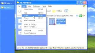 Opening SAS® Data Files 3: Copy the File to an Existing Library's Folder