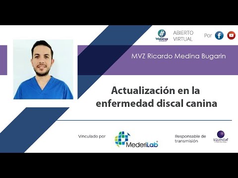 Video: Estudio: los perros se lamen la boca en respuesta a las caras humanas enojadas