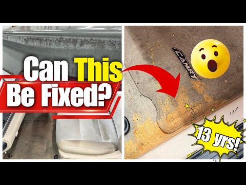 13 Years of Neglect Removed in 8 Hours | Winter Camry Detail at 38°