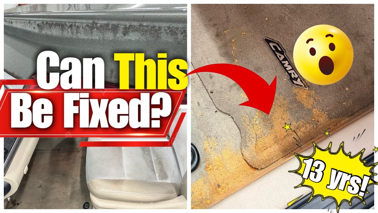 13 Years of Neglect Removed in 8 Hours | Winter Camry Detail at 38°