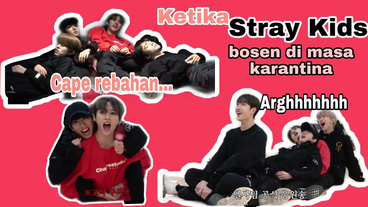 Ketika Stray kids bosan dimasa karantina