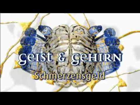 Manfred Spitzer - Geist & Gehirn - Schmerzensgeld 11.13