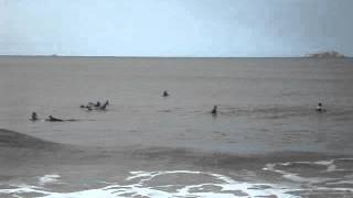 Menina Inside Aereo Do Goofy