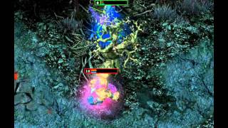 HoN 54784738, Robes juke