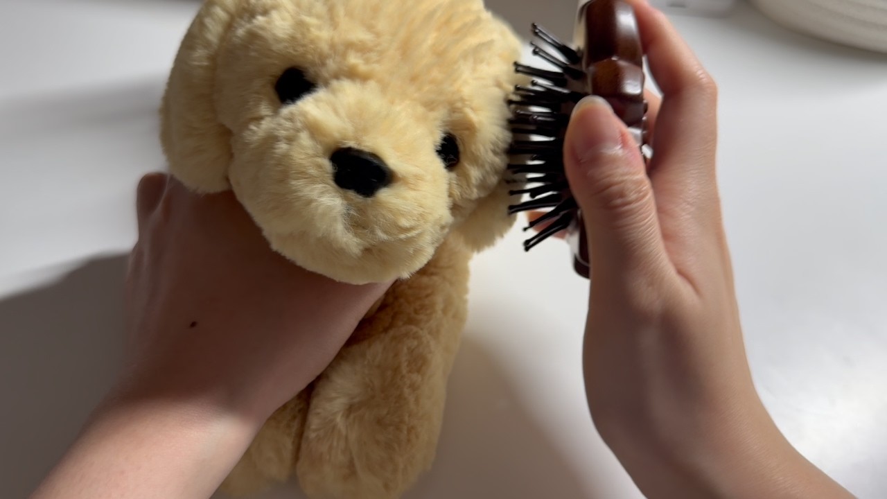 ASMR 속닥이면서 나무 빗으로 강아지 빗질하기 나무 탭핑 톡톡톡 Brushing & Wood Tapping Sounds