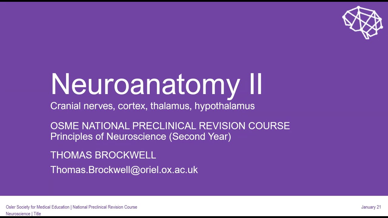 Neuroanatomy II - YouTube