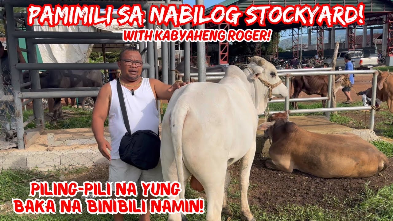 PAMIMILI SA NABILOG STOCKYARD | PILING-PILI NA YUNG  BAKA NA BINIBILI NAMIN! | BYAHE NI ROGER