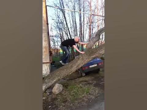 Обезьяна в зоопарке - YouTube