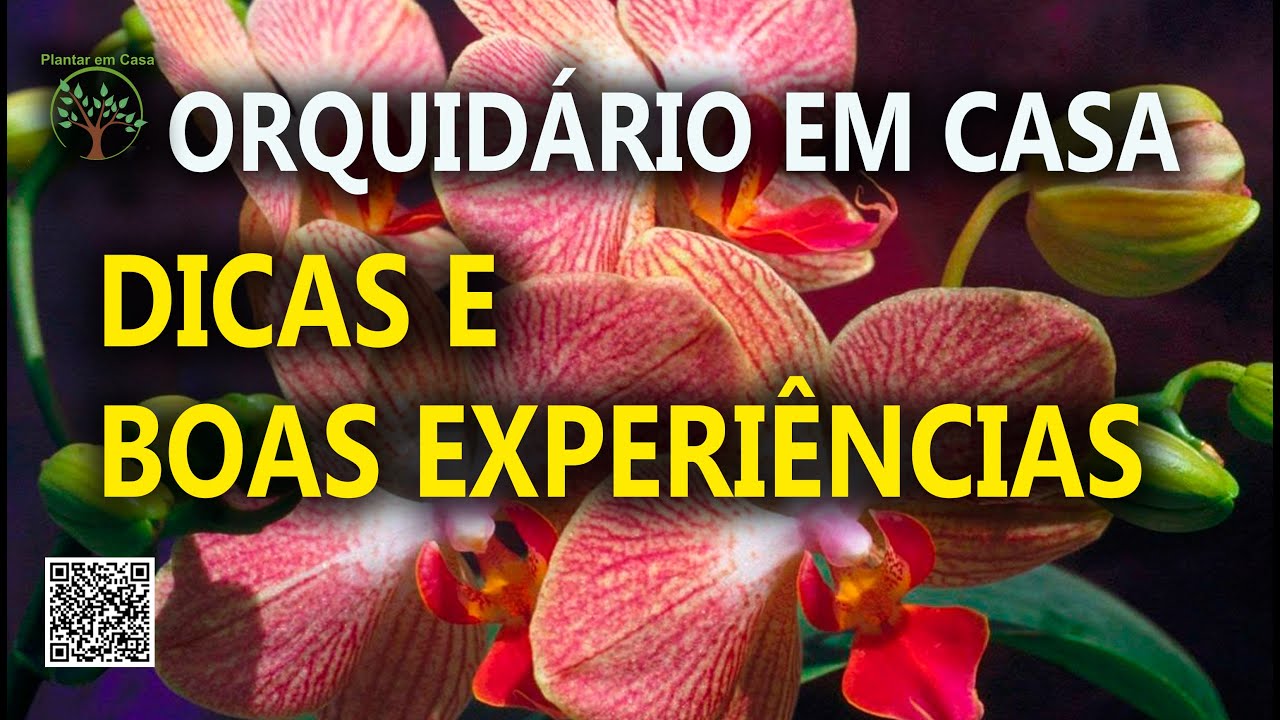 Orquidários Especiais em Casa, Dicas e Cultivos de boas Experiências