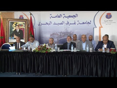 جامعة غرف الصيد البحري تدعو إلى مراجعة القوانين المؤطرة لصيد الأخطبوط