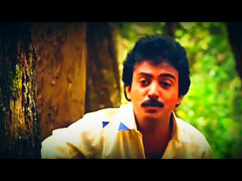 thedum-kan-paarvai-hd-song-from-mella-theranthathu-kathavu-#whatsappstatus-#venkateshkannan