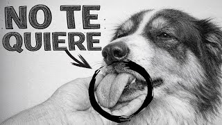 Download Lagu 15 Señales de que tu perro TE ODIA (¡aunque creas lo contrario!) MP3