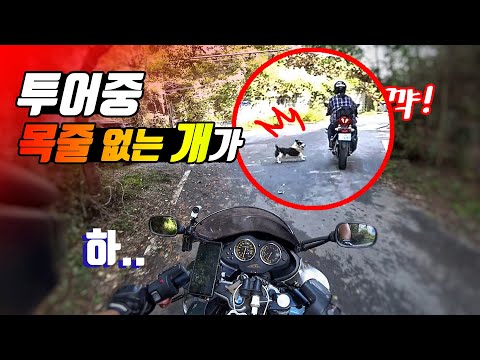 개도 여라를 알아본다?.. 바이크투어시 예측불가한 이런저런 해프닝