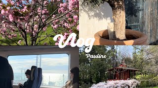 Поездка в Сочи🚂 Весна🌷 Цветение магнолии и сакуры 🌸🌸