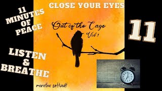 Merethe Soltvedt - Out of the Cage Vol. 1 - five songs - 11 minute meditation