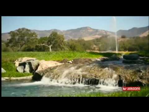 უძრავი ქონება (06.05.2017)