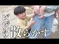 【アルパカvs子供】触れ合えすぎる動物園にビビる子供たちwww