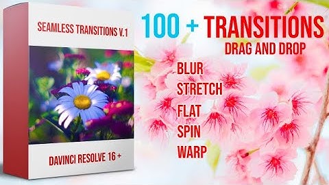Seamless Transitions V.1 DaVinci Resolve Templates