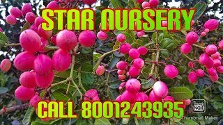Koranda Ka Puda Chahie To Call Kijiye 8001243935