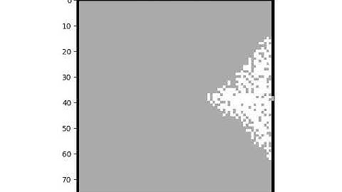 Cellular  automata simulation