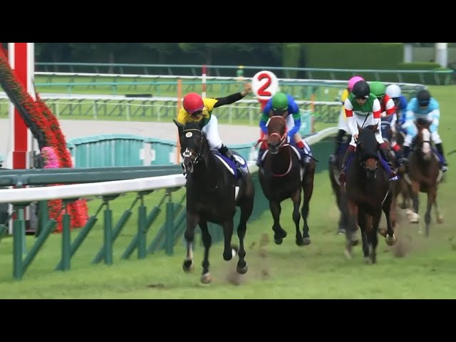 Titleholder, Japanese star going for Arc glory! - YouTube