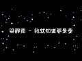 梁靜茹 我就知道那是愛 歌詞 梁靜茹 我就知道那是愛 歌詞