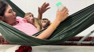 Baby monkey Bella and PoPo