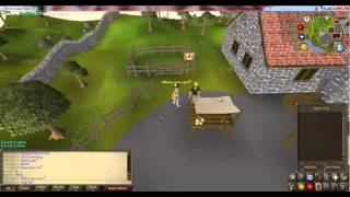Emps-scape, Auto-thieving - AFK training.