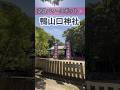 知られてない神社⚠️逃したら2度とないです#shorts #パワースポット #開運 #遠隔参拝 #旅行