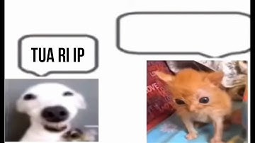 turi ip ip ip part 2