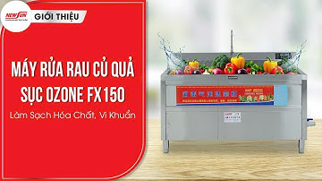 Máy Rửa Rau Củ Quả Sục Ozone FX150 – Làm Sạch Hóa Chất, Vi Khuẩn • Điện Máy NEWSUN