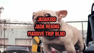 Jadakiss - Jada Reigns (Massive Trip BLND)