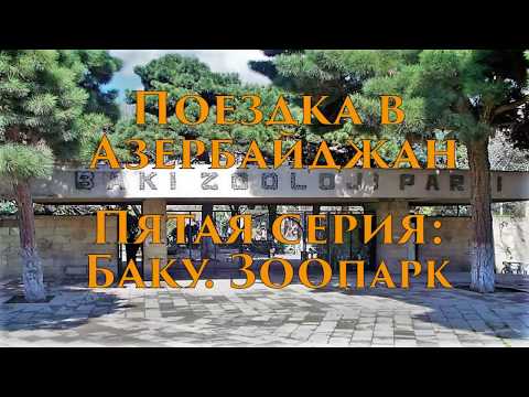 Поездка в Азербайджан. Пятая серия: Баку. Зоопарк и Мегафан