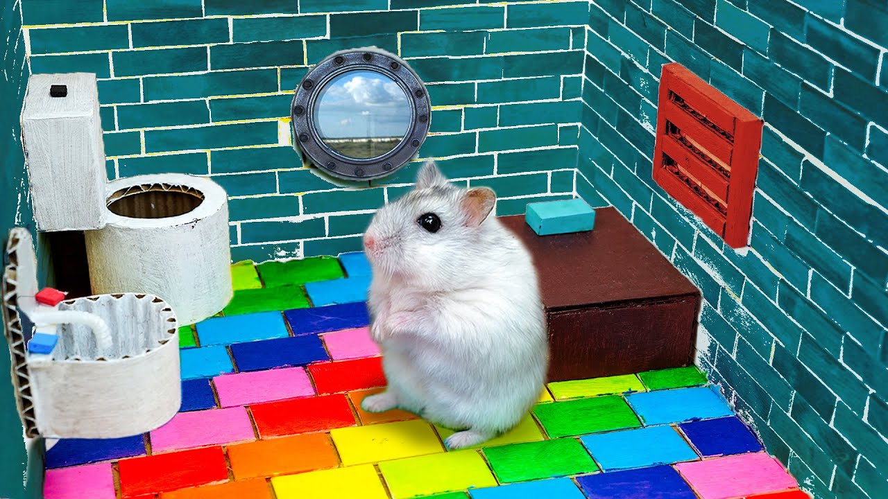 🐹Hamster Escapes the Awesome Luxury Maze In Real Life 🐹 Hamster vs Whirlpool Cute @hamstersophie