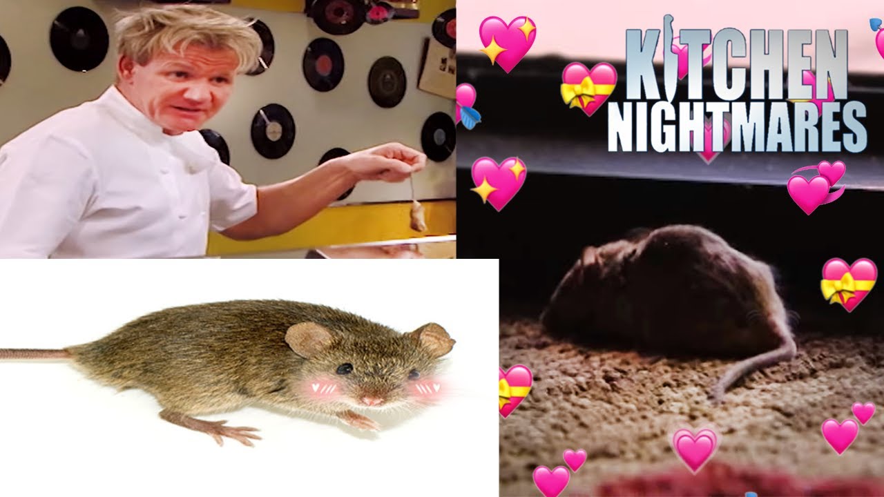 The Mouse (What Does the Mouse Say?) | Full Episodes | Kitchen ...