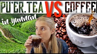 Pu'er Tea VS Coffee WHO WILL WIN?!