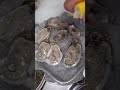 Did You Know Oysters Are Eaten Alive 