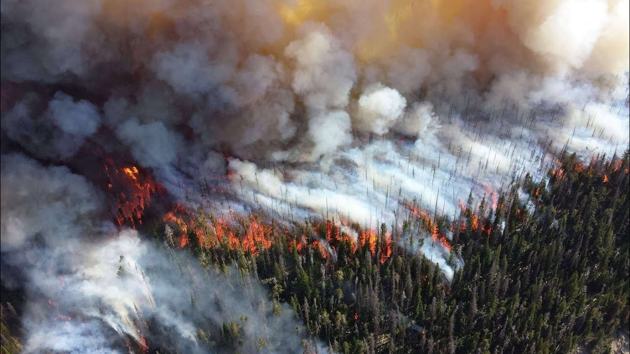 Bosques boreales amenazados por "incendios zombis" en Alaska