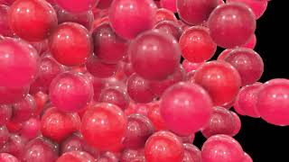 Red Bubbles Transition Pack - Motion Graphics | Animation Videos | No Copyright.