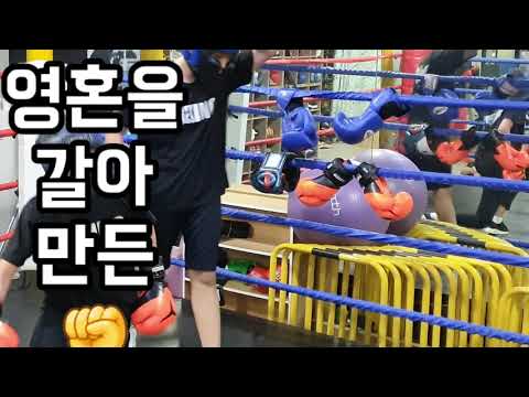 군포의 왕벌 펀치맨 SG복싱