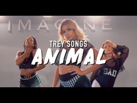 Trey Songz | Animal | Brinn Nicole Choreography