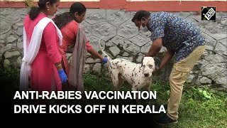 Kerala: Pet dogs given antirabies vaccine amid the rise in dogbite cases