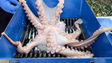 Top Shredding Moments That Will Blow Your Mind