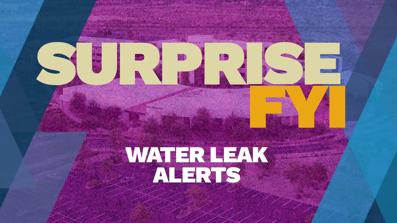 Surprise FYI - Water Leak Alerts