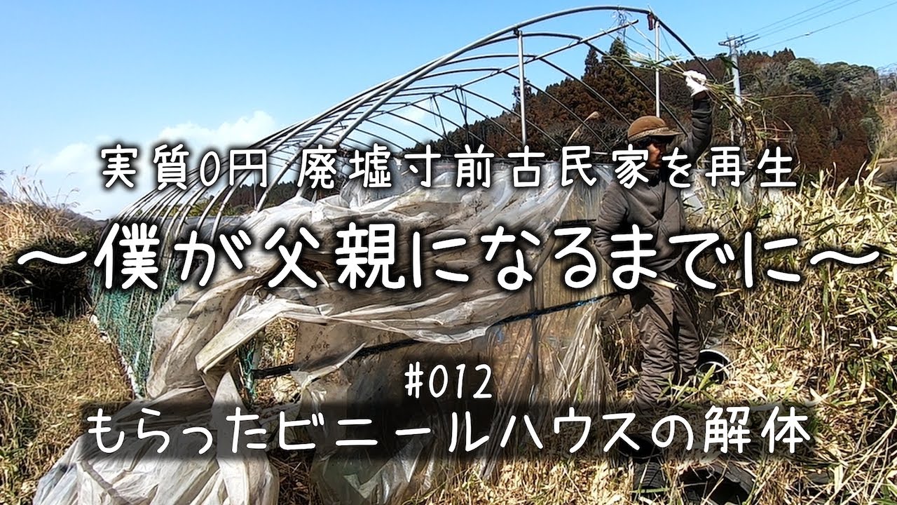 【値下げしました】ビニールハウス【購入者解体希望】 012 もらったビニールハウスを素人が解体 素敵な田舎暮らしを目指して