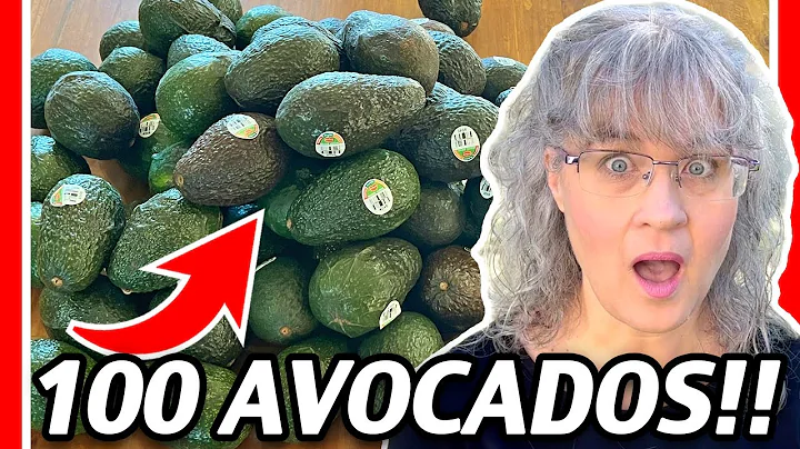 See What I Did With Them! How I Got 100 Avocados for 25 Cents Each!!! How To Save On Groceries!